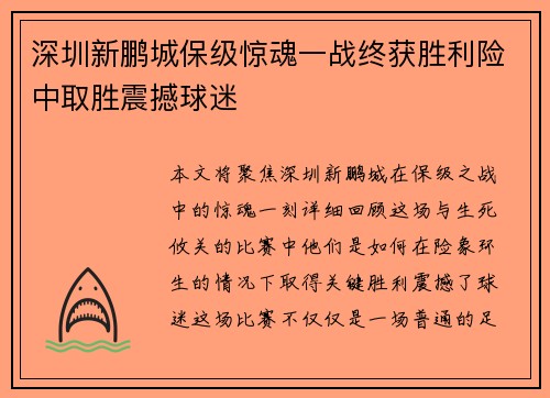 深圳新鹏城保级惊魂一战终获胜利险中取胜震撼球迷